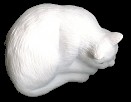 TNG: White Cat